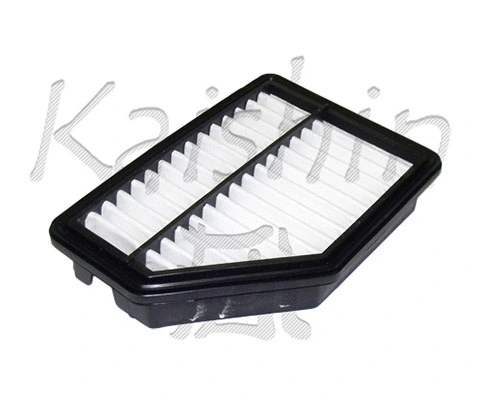 Air Filter (A10229)