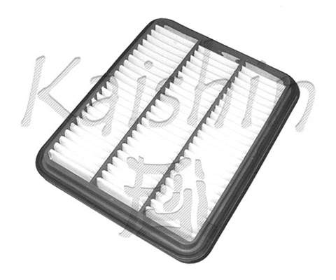 Air Filter (A3001)
