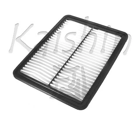 Air Filter (A10043)