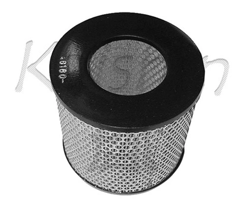 Air Filter (A160)
