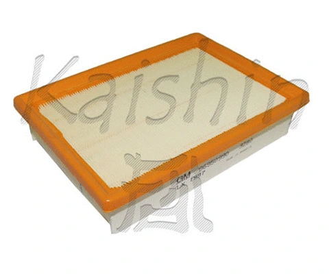 Air Filter (A10271)
