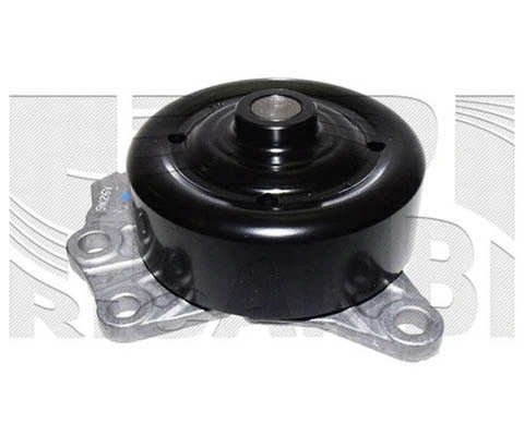 Water Pump, engine cooling (WPK298)