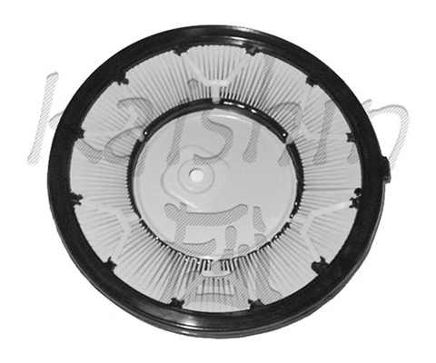 Air Filter (AN216)