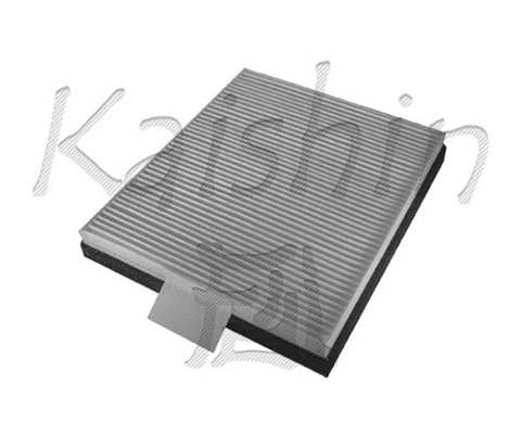 Filter, cabin air (A20078)