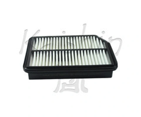 Air Filter (A10325)