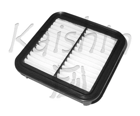 Air Filter (A916)