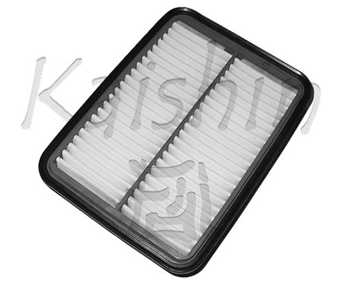 Air Filter (A176)