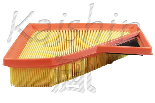 Air Filter (A10462)