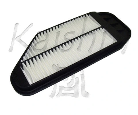 Air Filter (A10244)