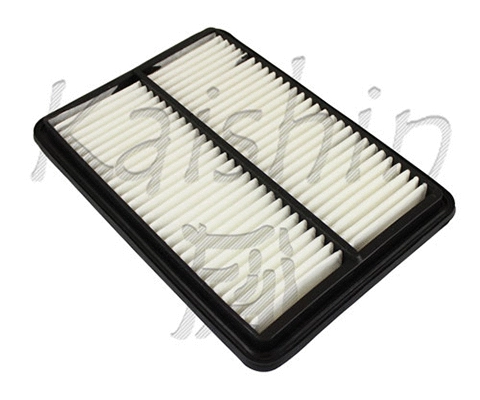 Air Filter (A10305)