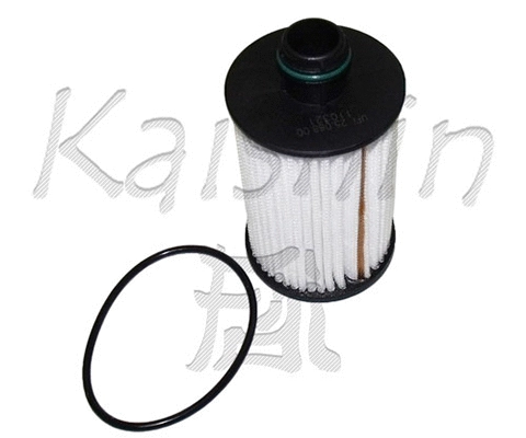 Oil Filter (O1000)