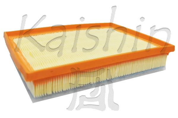 Air Filter (A10447)