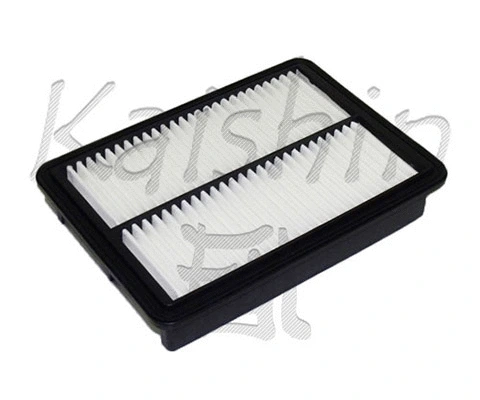 Air Filter (A10246)