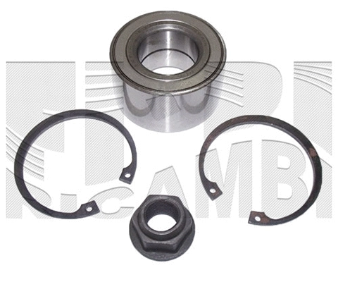 Wheel Bearing Kit (RK6005)