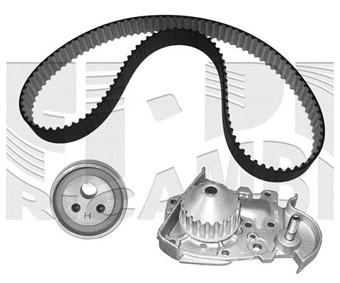 Water Pump & Timing Belt Kit (WKFI006)