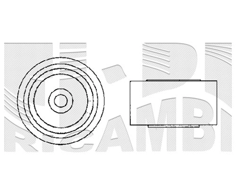 Deflection/Guide Pulley, timing belt (FI2970)