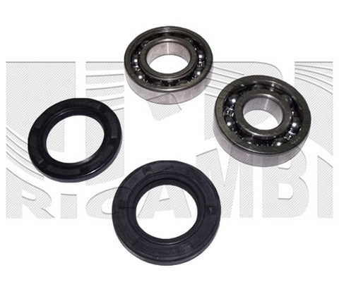 Wheel Bearing Kit (RK2211)