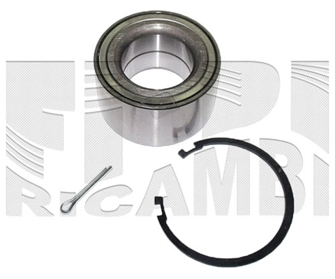 Wheel Bearing Kit (RK1381)