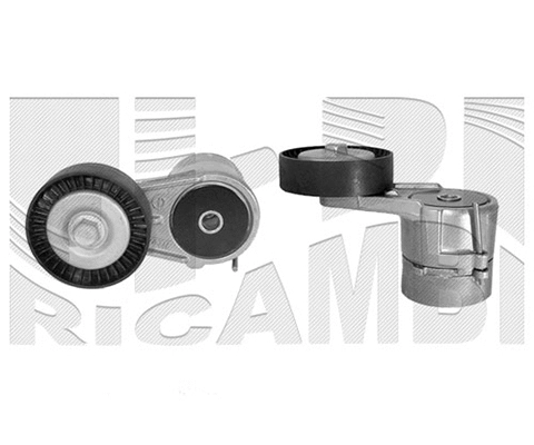 Belt Tensioner, V-ribbed belt (FI9460)