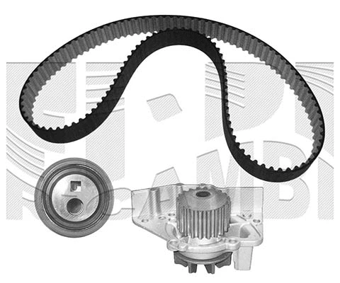 Water Pump & Timing Belt Kit (WKFI016)