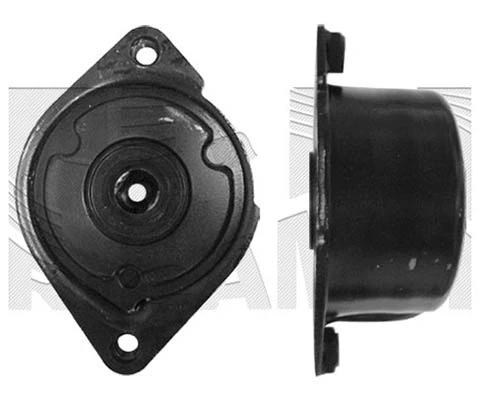 Belt Tensioner, V-ribbed belt (FI14690)