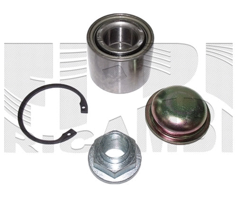 Wheel Bearing Kit (RK4411)