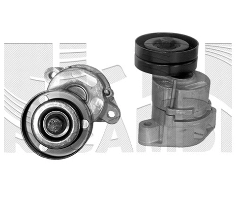 Belt Tensioner, V-ribbed belt (FI2480)