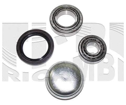 Wheel Bearing Kit (RK6782)