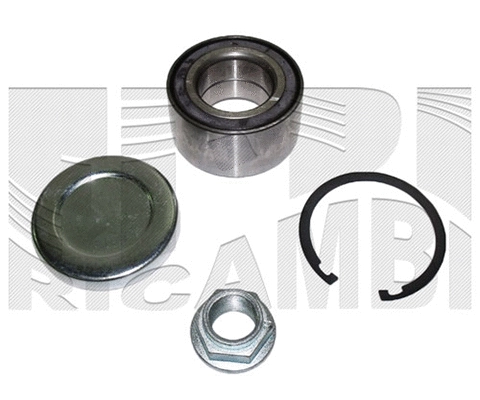 Wheel Bearing Kit (RK1573)