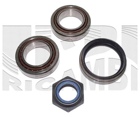 Wheel Bearing Kit (RK7807)