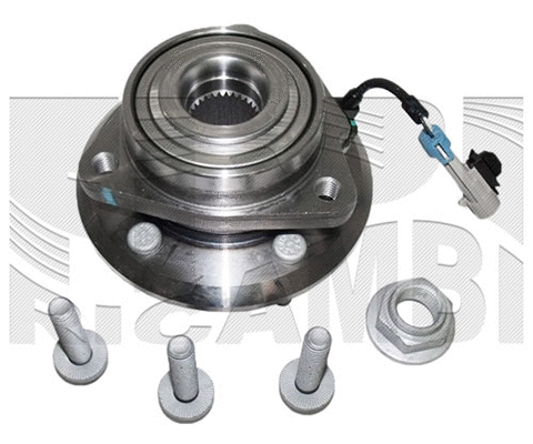 Wheel Bearing Kit (RK4489)