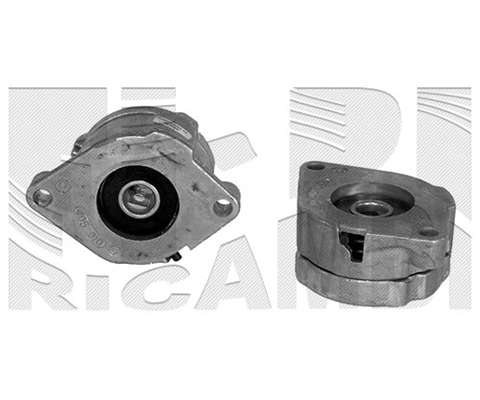 Belt Tensioner, V-ribbed belt (FI8320)
