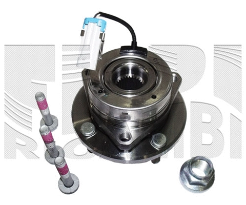 Wheel Bearing Kit (RK4498)