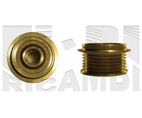 Alternator Freewheel Clutch (FI16670)