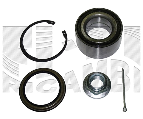 Wheel Bearing Kit (RK2674)