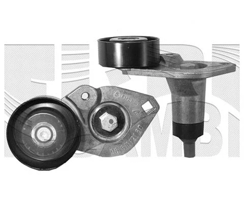 Belt Tensioner, V-ribbed belt (FI12920)