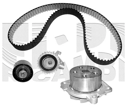 Water Pump & Timing Belt Kit (WKFI206)
