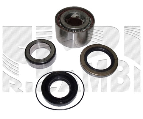 Wheel Bearing Kit (RK1929)