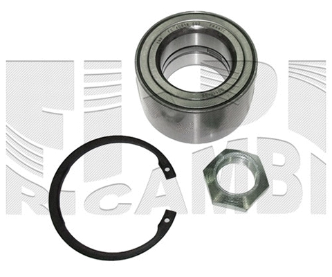 Wheel Bearing Kit (RK9096)