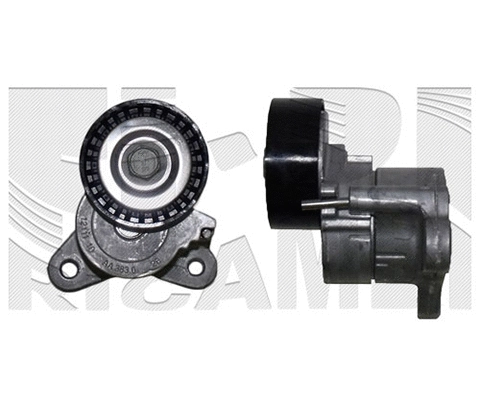 Belt Tensioner, V-ribbed belt (FI20470)