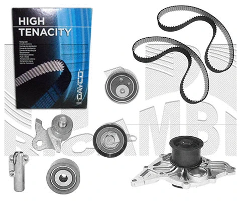 Water Pump & Timing Belt Kit (WKFI253)