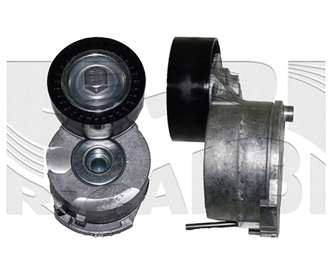 Belt Tensioner, V-ribbed belt (FI23840)