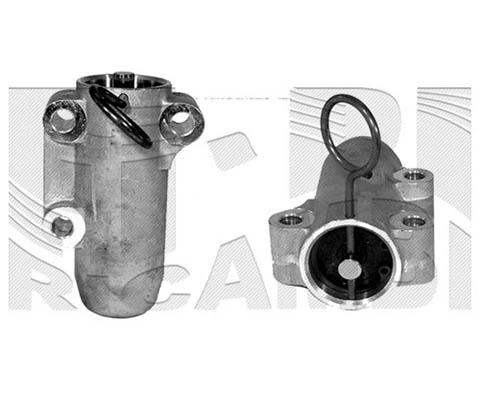 Vibration Damper, timing belt (FI10400)