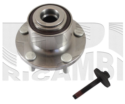 Wheel Bearing Kit (RK6044H)