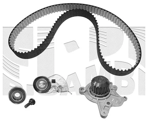 Water Pump & Timing Belt Kit (WKFI264)
