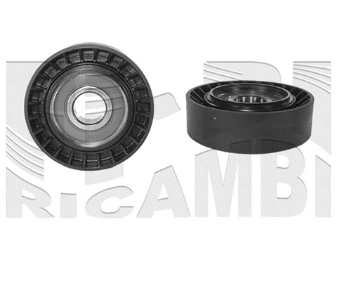 Deflection/Guide Pulley, V-ribbed belt (FI2040)