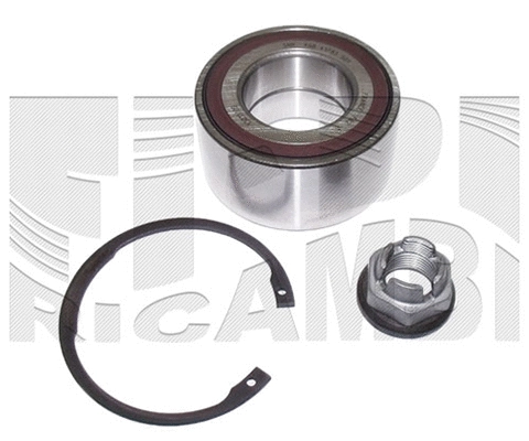 Wheel Bearing Kit (RK3111)