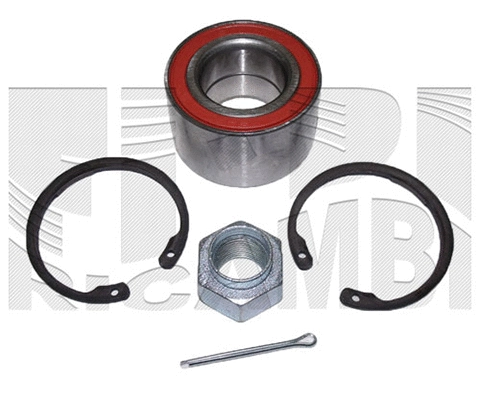 Wheel Bearing Kit (RK4466)