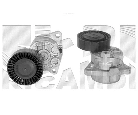 Belt Tensioner, V-ribbed belt (FI8930)