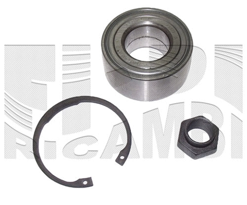 Wheel Bearing Kit (RK5016)